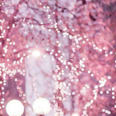 麻将胡了2的网站